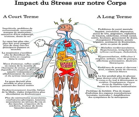 Les impacts du stress sur notre corps